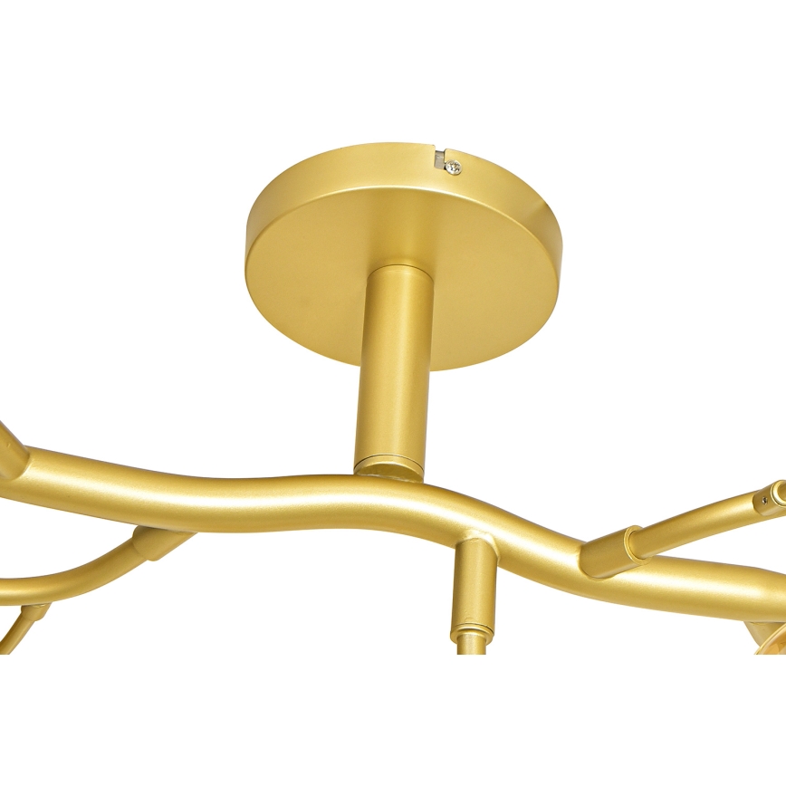 Brilagi - LED Pinnale kinnitatav lühter MISTEL 15xG9/3W/230V kuldne
