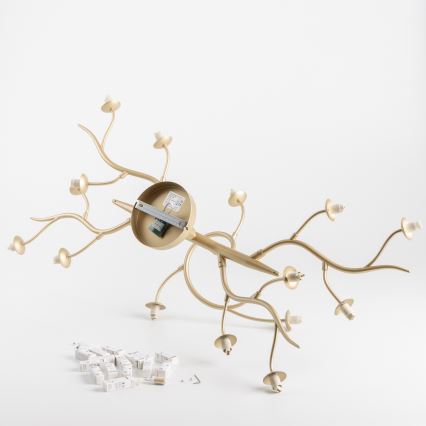 Brilagi - LED Pinnale kinnitatav lühter MISTEL 15xG9/3W/230V kuldne