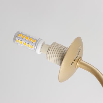 Brilagi - LED Pinnale kinnitatav lühter MISTEL 15xG9/3W/230V kuldne/valge