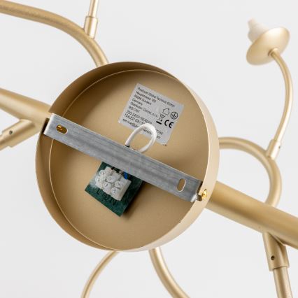 Brilagi - LED Pinnale kinnitatav lühter MISTEL 15xG9/3W/230V kuldne/valge