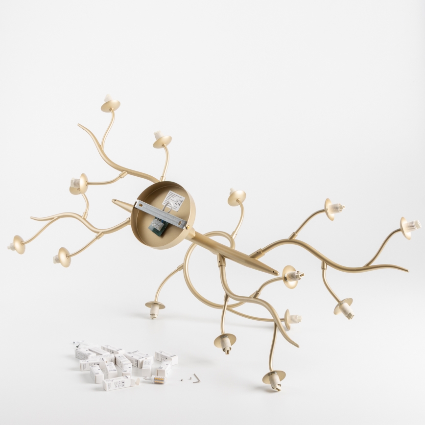 Brilagi - LED Pinnale kinnitatav lühter MISTEL 15xG9/3W/230V kuldne/valge