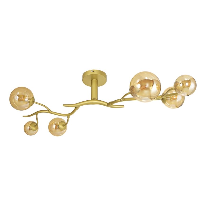 Brilagi - LED Pinnale kinnitatav lühter MISTEL 6xG9/3W/230V kuldne