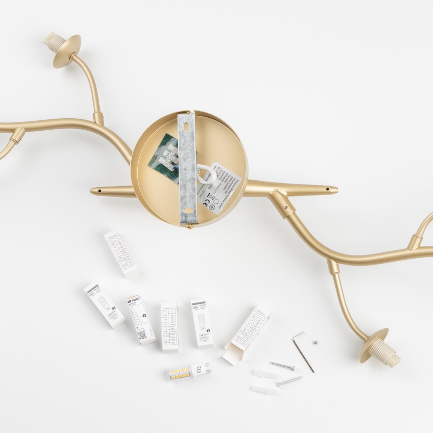 Brilagi - LED Pinnale kinnitatav lühter MISTEL 6xG9/3W/230V kuldne