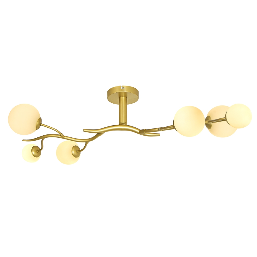 Brilagi - LED Pinnale kinnitatav lühter MISTEL 6xG9/3W/230V kuldne/valge