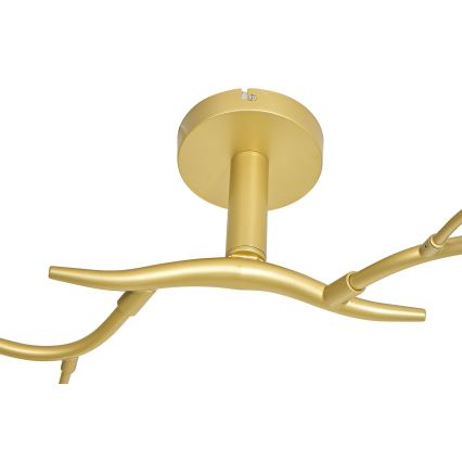 Brilagi - LED Pinnale kinnitatav lühter MISTEL 6xG9/3W/230V kuldne/valge