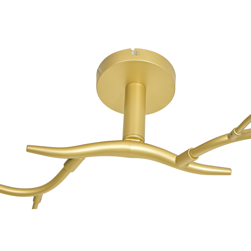 Brilagi - LED Pinnale kinnitatav lühter MISTEL 6xG9/3W/230V kuldne/valge