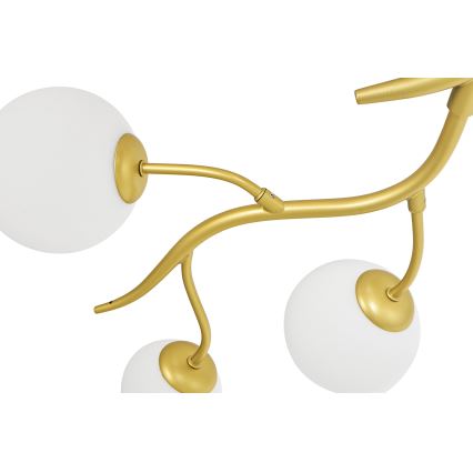 Brilagi - LED Pinnale kinnitatav lühter MISTEL 6xG9/3W/230V kuldne/valge