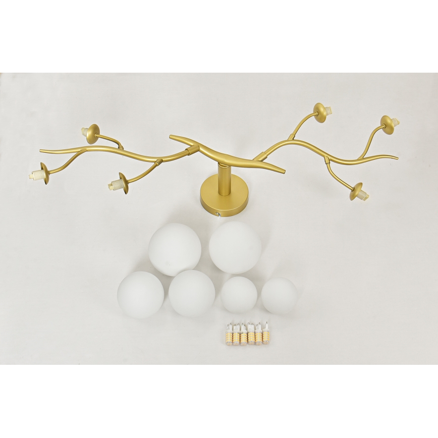 Brilagi - LED Pinnale kinnitatav lühter MISTEL 6xG9/3W/230V kuldne/valge