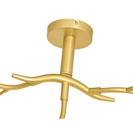 Brilagi - LED Pinnale kinnitatav lühter MISTEL 9xG9/3W/230V kuldne/valge