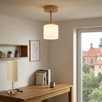 BRILAGI - LED Pinnale paigaldatav lühter RETRO GLASS 1xE27/60W/230V läbimõõt 10 cm beež/valge