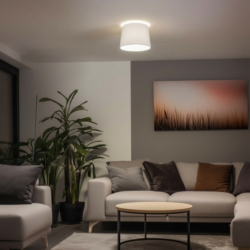 Brilagi - LED pinnapealne laelamp CERIA 1xE27/40W/230V läbimõõt 30 cm valge