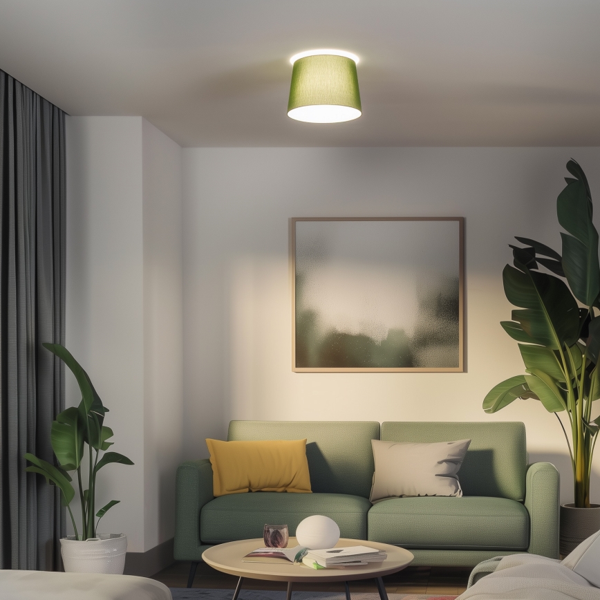 Brilagi - LED pinnapealne laelamp CERIA 1xE27/40W/230V Ø 30 cm roheline