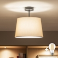 Brilagi - LED pinnapealne laelamp CERIA 1xE27/60W/230V läbimõõt 30 cm must/beež