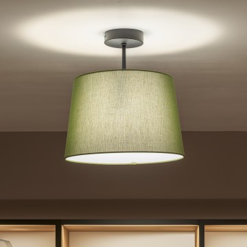Brilagi - LED pinnapealne laelamp CERIA 1xE27/60W/230V, läbimõõt 30 cm, must/roheline