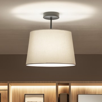 Brilagi - LED pinnapealne laelühter CERIA 1xE27/60W/230V, läbimõõt 30 cm, must/hall
