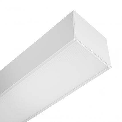 Brilagi - FULLDAY LED pinnale kinnitatav laevalgusti 10/15/20W/230V 2700/4000/6000K 60 cm valge