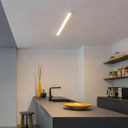 Brilagi - FULLDAY LED pinnale kinnitatav laevalgusti 10/15/20W/230V 2700/4000/6000K 60 cm valge