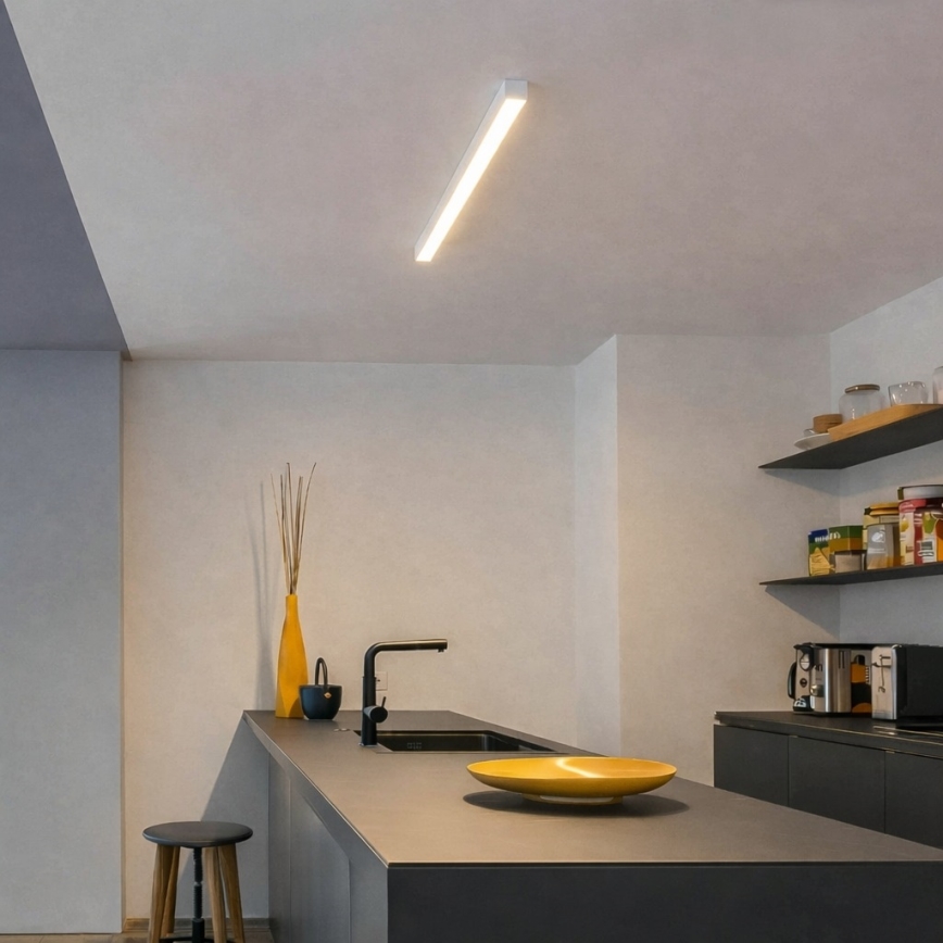 Brilagi - FULLDAY LED pinnale kinnitatav laevalgusti 10/15/20W/230V 2700/4000/6000K 60 cm valge