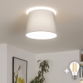 Brilagi - LED pinnapealne lühter CERIA 1xE27/40W/230V läbimõõt 30 cm hall