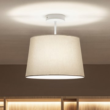 Brilagi - LED pinnapealne lühter CERIA 1xE27/60W/230V, läbimõõt 30 cm, valge/hall