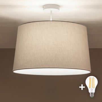 Brilagi - LED pinnapealne lühter CERIA 1xE27/60W/230V läbimõõt 45 cm valge/hall