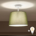Brilagi - LED pinnapealne lühter CERIA 1xE27/60W/230V Ø 30 cm valge/roheline
