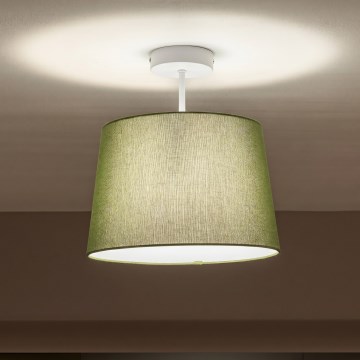 Brilagi - LED pinnapealne lühter CERIA 1xE27/60W/230V Ø 30 cm valge/roheline