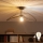 Brilagi - LED-pinnapealne lühter CERIA WIRE 1xE27/60W/230V 40x56 cm must/pronks