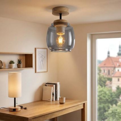 BRILAGI - LED Pinnapealne lühter RETRO GLASS 1xE27/60W/230V Ø 26 cm tamm/suitsuhall