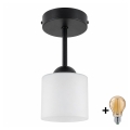 BRILAGI - LED pinnapealne lühter RETRO GLASS 1xE27/60W/230V läbimõõt 10 cm must/valge