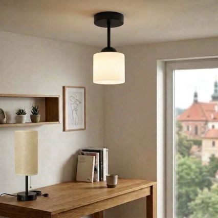 BRILAGI - LED pinnapealne lühter RETRO GLASS 1xE27/60W/230V läbimõõt 10 cm must/valge