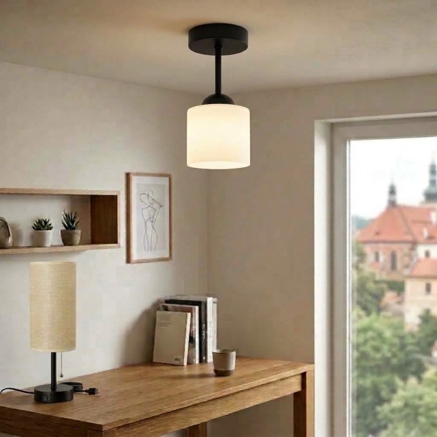 BRILAGI - LED pinnapealne lühter RETRO GLASS 1xE27/60W/230V läbimõõt 10 cm must/valge