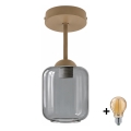 BRILAGI - LED pinnapealne lühter RETRO GLASS 1xE27/60W/230V läbimõõt 14 cm beež/suitsuhall
