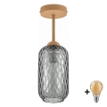 BRILAGI - LED pinnapealne lühter RETRO GLASS 1xE27/60W/230V läbimõõt 14 cm beež/suitsuhall
