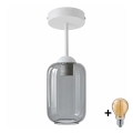 BRILAGI - LED pinnapealne lühter RETRO GLASS 1xE27/60W/230V läbimõõt 14 cm valge/suitsuhall