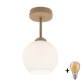 BRILAGI - LED Pinnapealne lühter RETRO GLASS 1xE27/60W/230V läbimõõt 15 cm beež/valge
