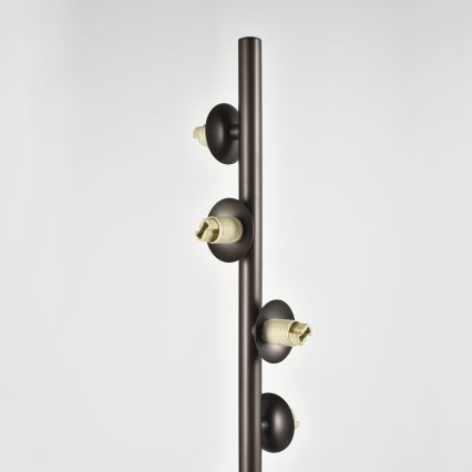 Brilagi - LED-põrandalamp MILLA 7xG9/3W/230V pruun/suitsupruun