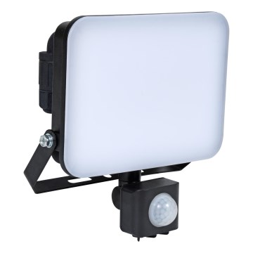 Brilagi - LED Prožektor anduriga ELARA PRO LED/30W/230V IP65