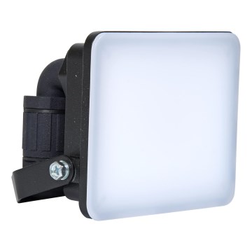 Brilagi - LED Prožektor ELARA PRO LED/10W/230V IP65