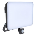 BRILAGI - LED prožektor koos sensoriga ELARA PRO LED/100W/230V IP65