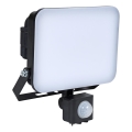 BRILAGI - LED prožektor koos sensoriga ELARA PRO LED/30W/230V IP65