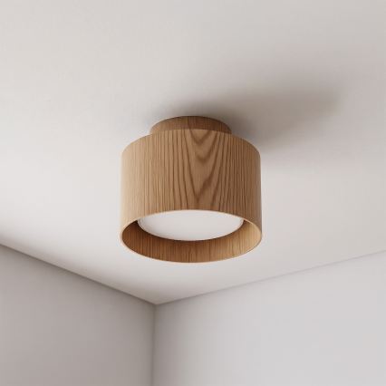 BRILAGI - LED suunav valgusti BACKLIT 1xGX53/15W/230V + LED/3W läbimõõt 10 cm tamme dekor