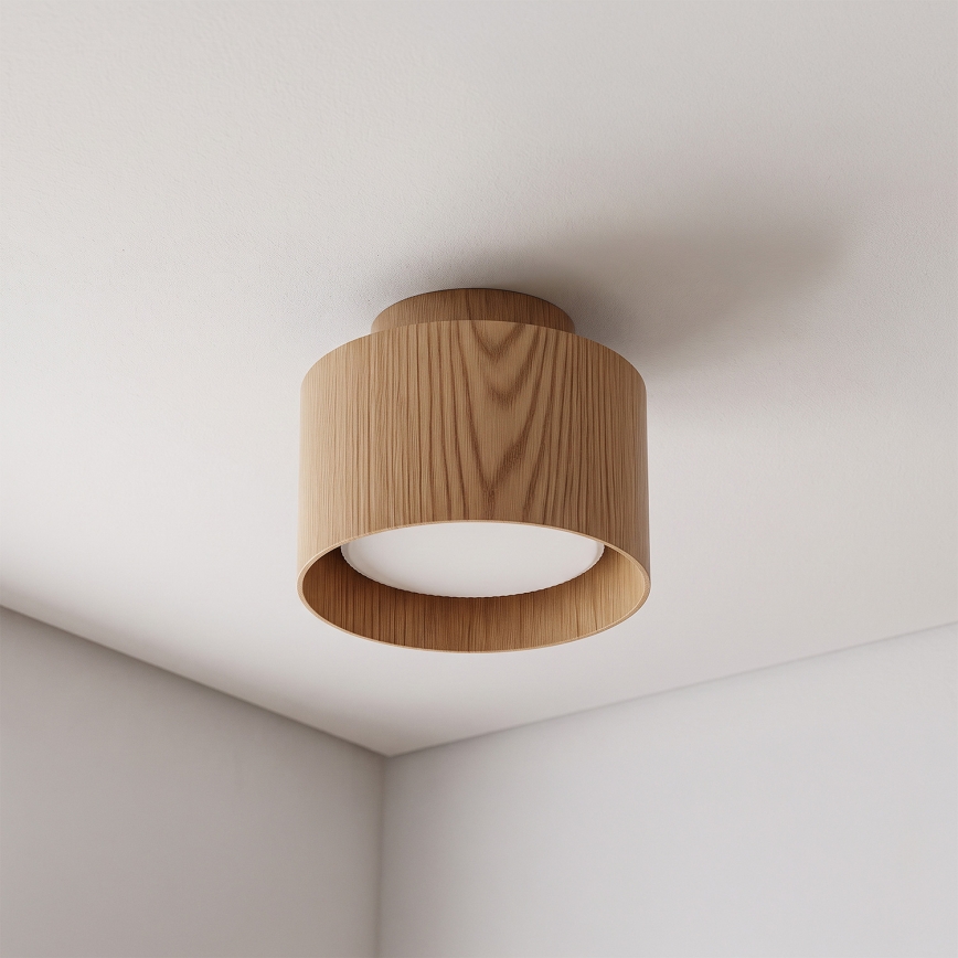 BRILAGI - LED suunav valgusti BACKLIT 1xGX53/15W/230V + LED/3W läbimõõt 10 cm tamme dekor