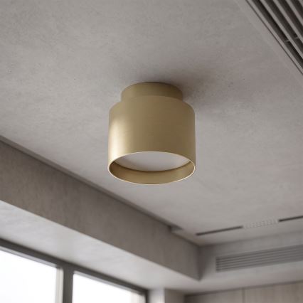 BRILAGI - LED punktvalgusti BACKLIT 1xGX53/15W/230V + LED/3W, läbimõõt 8 cm, kuldne