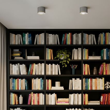 Brilagi - LED punktvalgusti STRIPY 1xGX53/15W/230V hõbedane