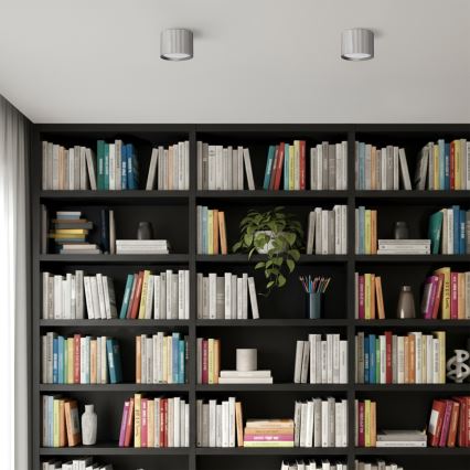 Brilagi - LED punktvalgusti STRIPY 1xGX53/15W/230V hõbedane