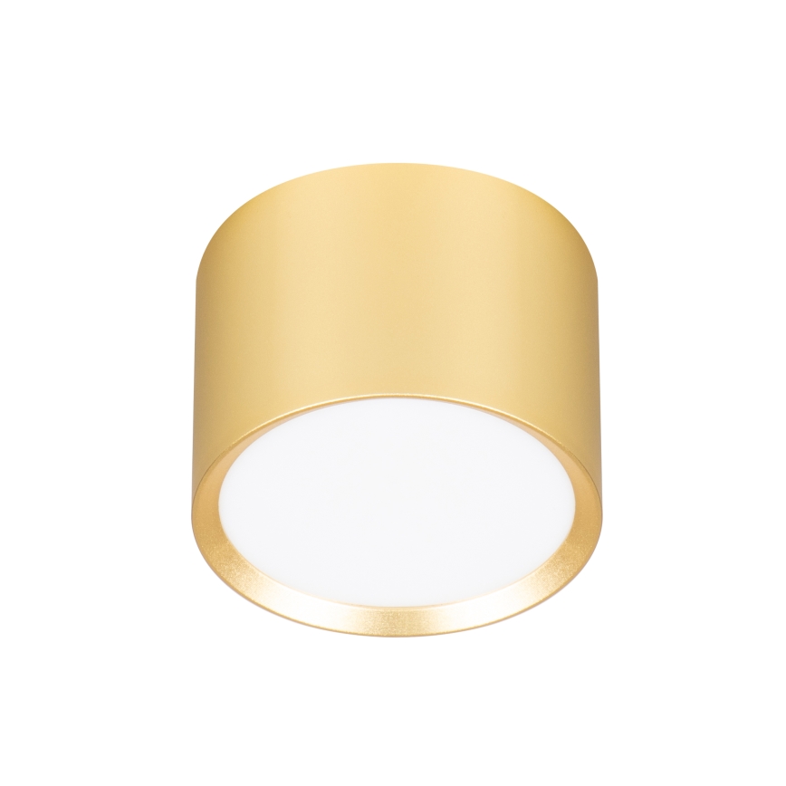 BRILAGI - LED RGB+CCT hämardatav spottvalgusti SMOOTH 1xGX53/14W/230V 60x82 mm 2700-6500K Wi-Fi Tuya kuldne
