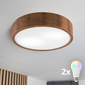 BRILAGI - LED RGBW hämardatav laelamp CARVALHO 2xE27/12W/230V 2700-6500K tamm, läbimõõt 37,5 cm