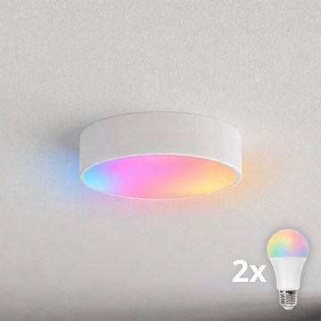 BRILAGI - LED RGBW hämardatav laelamp CLARE 2xE27/12W/230V 2700-6500K läbimõõt 30 cm valge