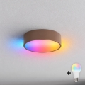 BRILAGI - LED RGBW hämardatav laevalgusti CLARE 1xE27/12W/230V läbimõõt 20 cm pruun